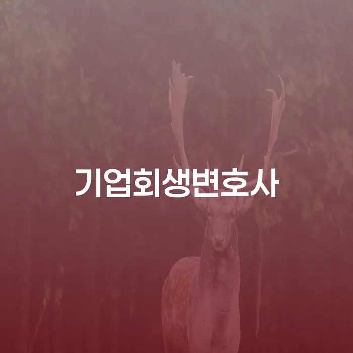 개인회생재산 카드빚 연체 얼마?