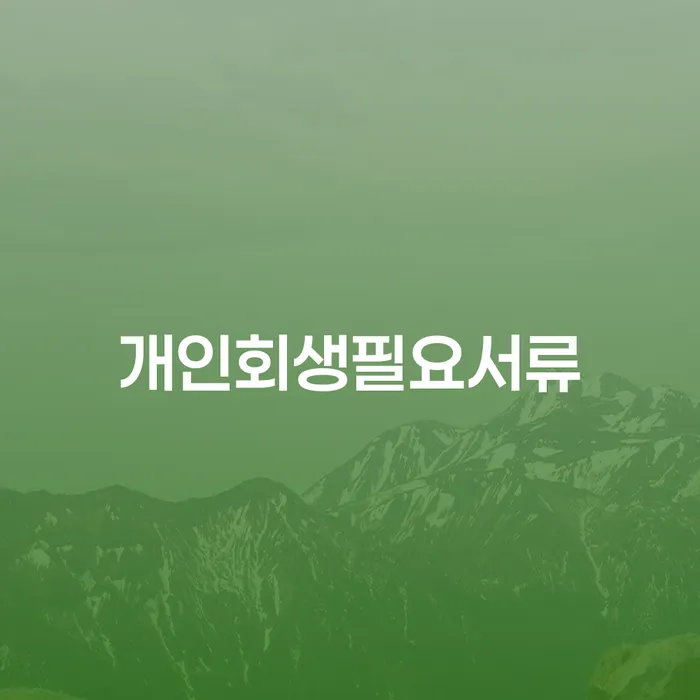 세종시 채무정리 개인파산 꿀팁