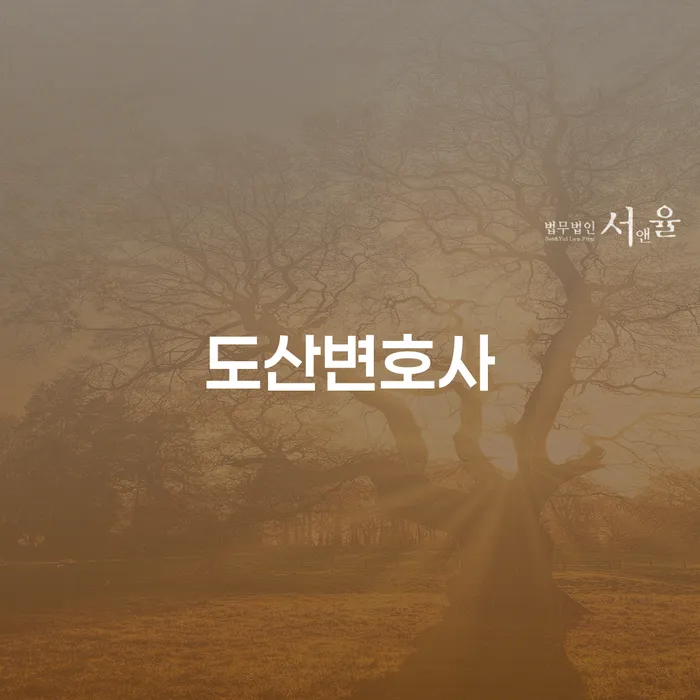 영동군 파산 빚갚는 방법 어떻게 해야