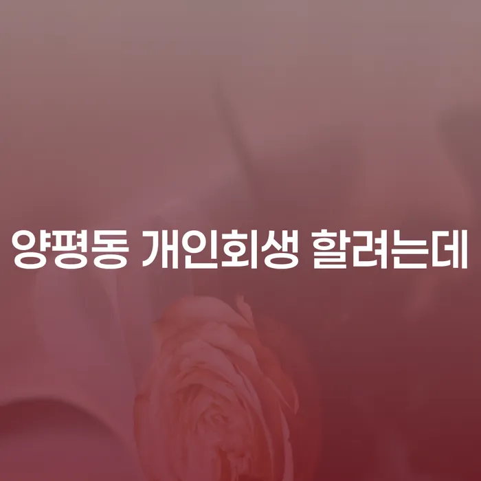 양평동 개인회생 할려는데