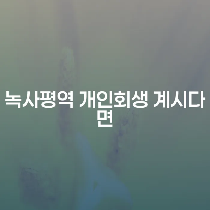 녹사평역 개인회생 계시다면