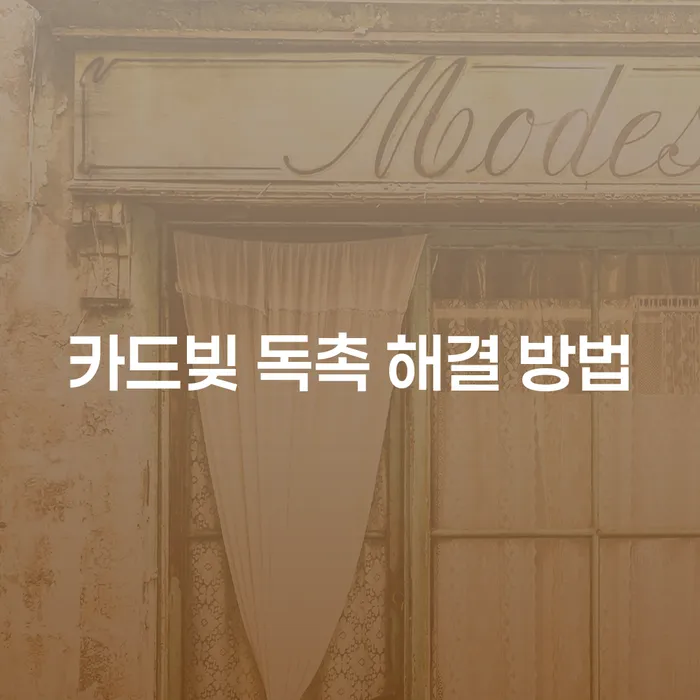2000만원 카드빚과 사금융 연체, 어떻게 해결할 수 있을까요?