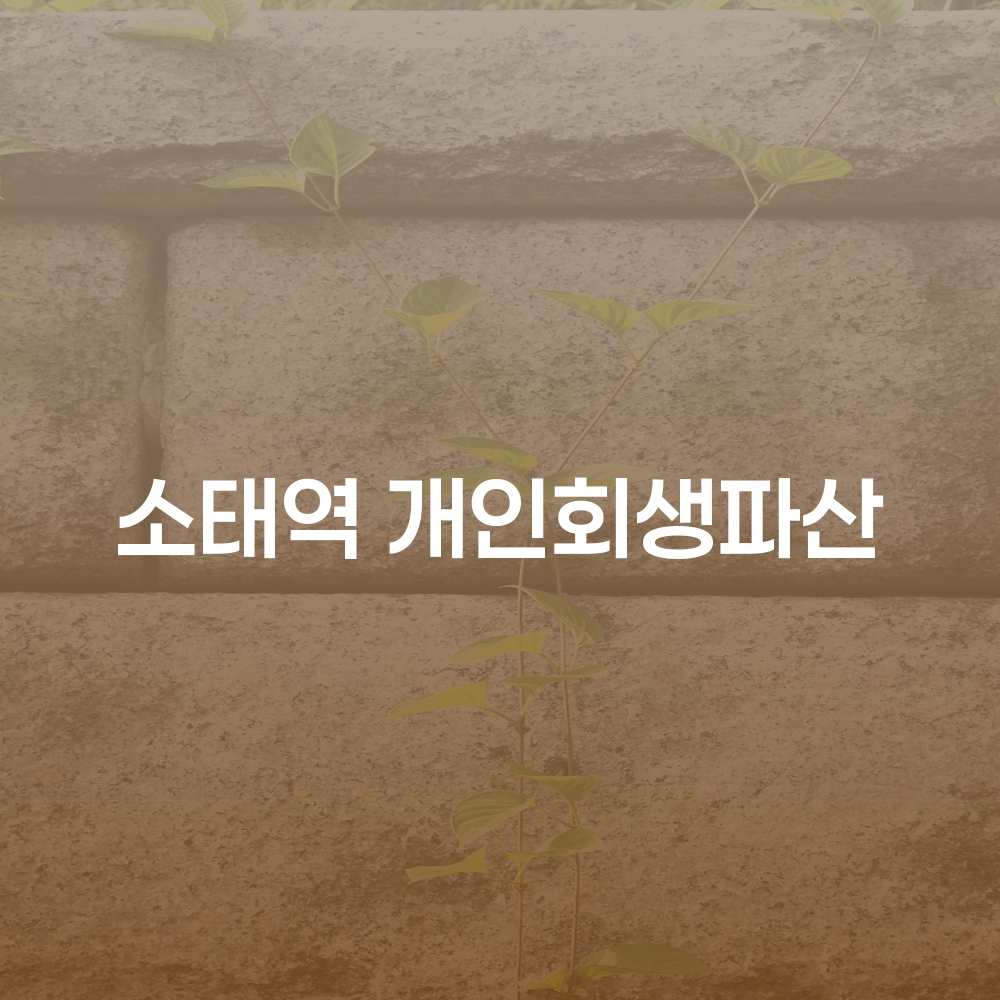 소태역 개인회생파산의 필요성과 절차