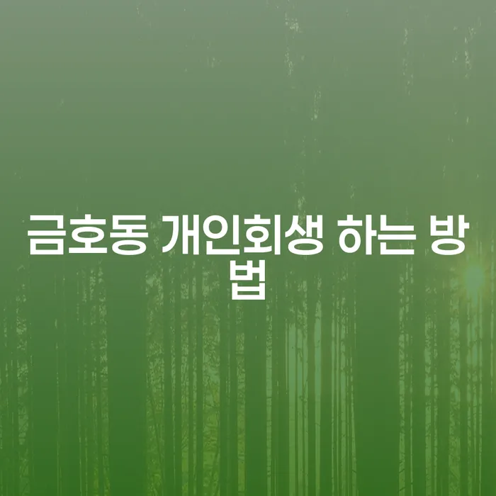 금호동 개인회생 하는 방법은 무엇일까요?