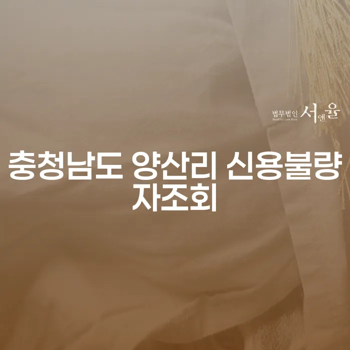 충청남도 양산리에서 신용불량자 조회가 필요한 이유는 무엇일까요?