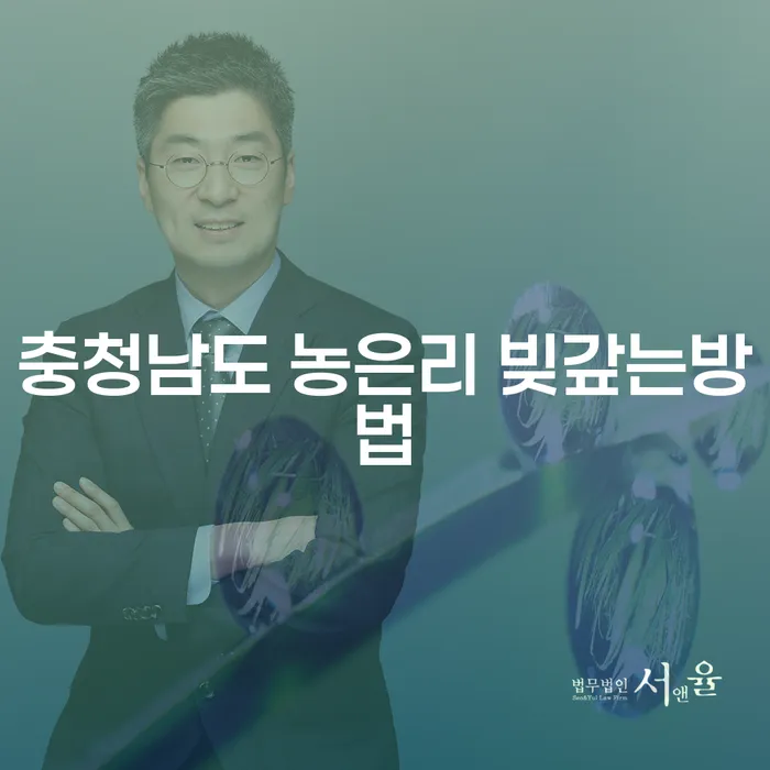 충청남도 농은리에서 빚 갚는 방법, 어떤 선택이 최선일까요?
