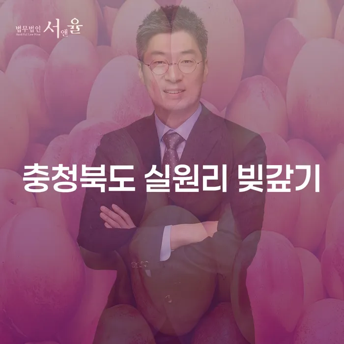 충청북도 실원리에서 빚을 갚는 방법, 채무자회생으로 해결할 수 있을까요?