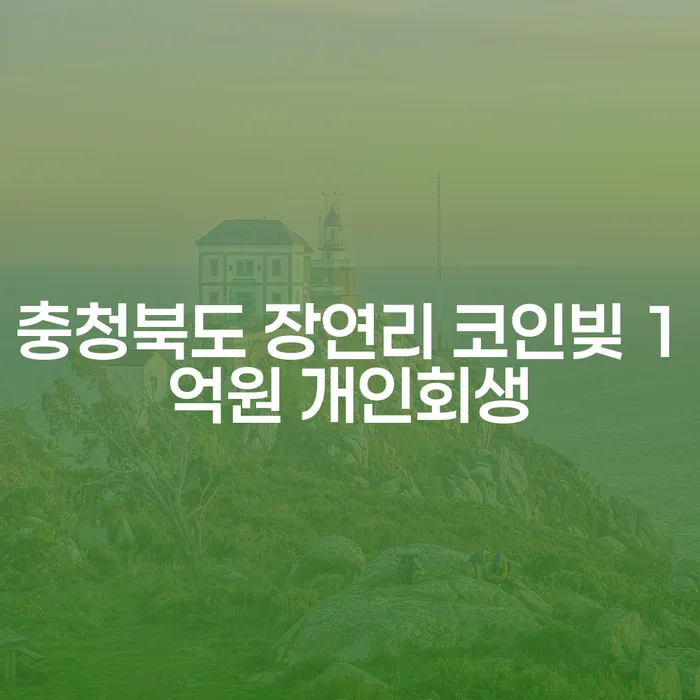충청북도 장연리에서 코인빚 1억원, 개인회생과 부채통합으로 해결 가능할까요?