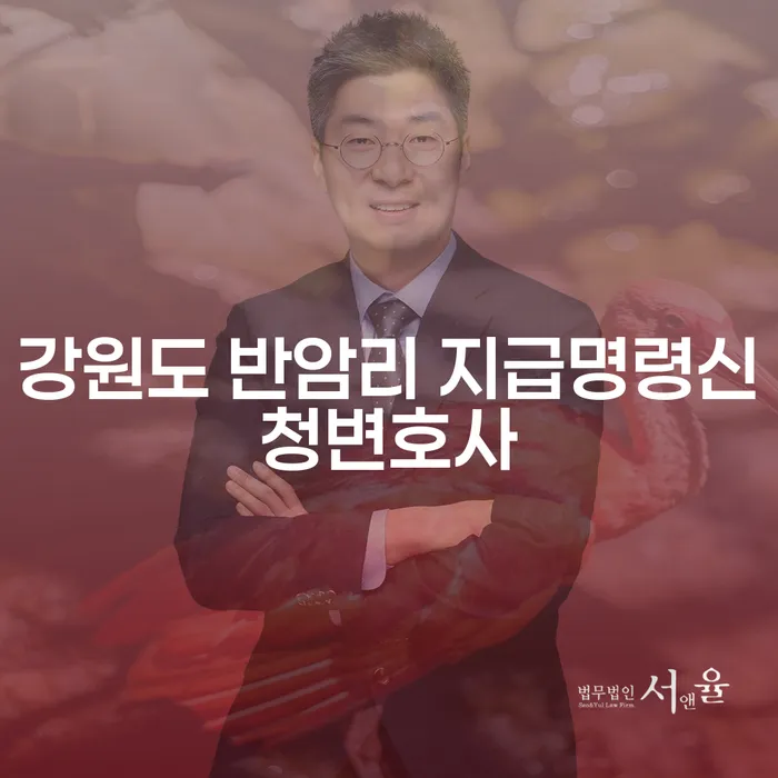 강원도 반암리에서 지급명령 신청을 고려하신다면, 어떤 변호사를 선택해야 할까요?